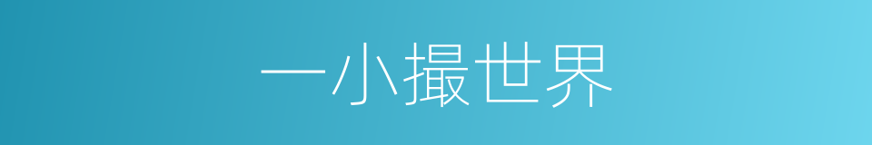 一小撮世界的同义词