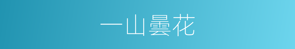 一山曇花的同義詞