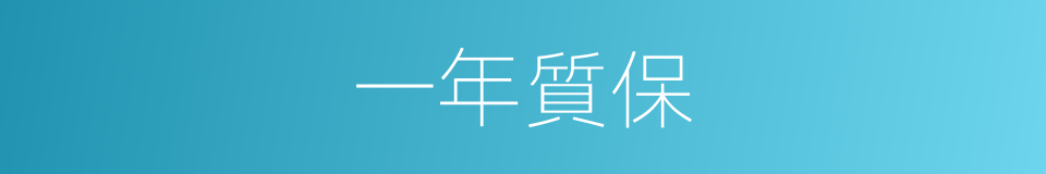 一年質保的同義詞