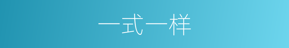 一式一样的意思