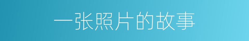 一张照片的故事的同义词