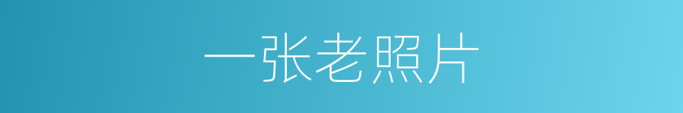 一张老照片的同义词