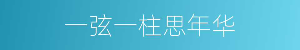 一弦一柱思年华的同义词