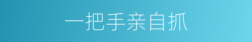 一把手亲自抓的同义词