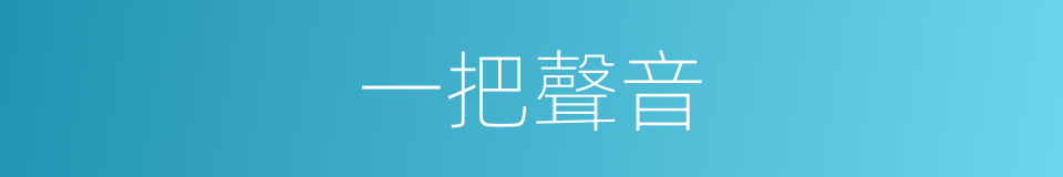 一把聲音的意思