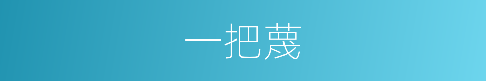 一把蔑的同义词