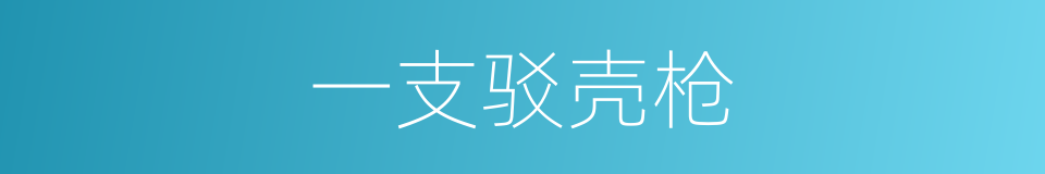 一支驳壳枪的同义词