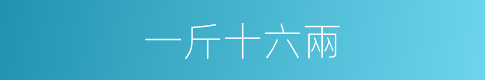 一斤十六兩的同義詞