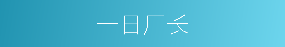 一日厂长的同义词