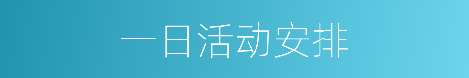 一日活动安排的同义词