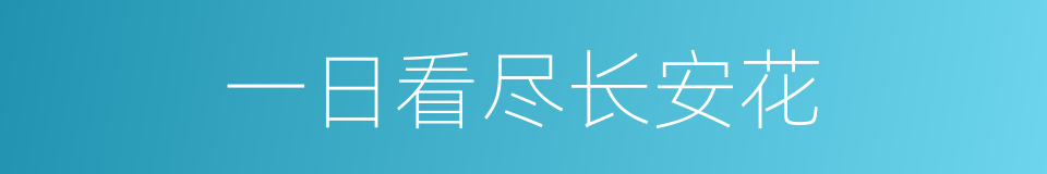 一日看尽长安花的同义词