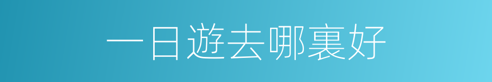 一日遊去哪裏好的同義詞