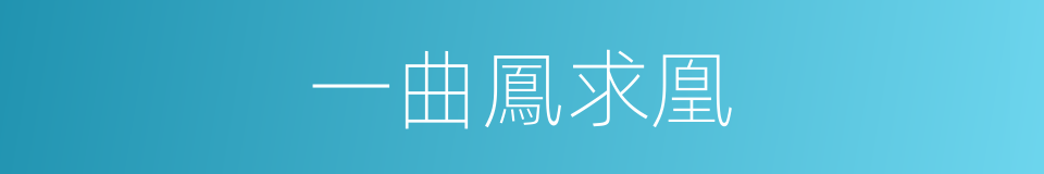 一曲鳳求凰的同義詞