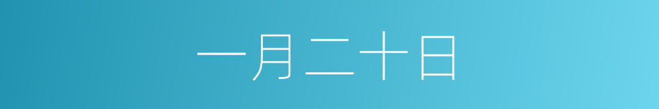 一月二十日的同义词