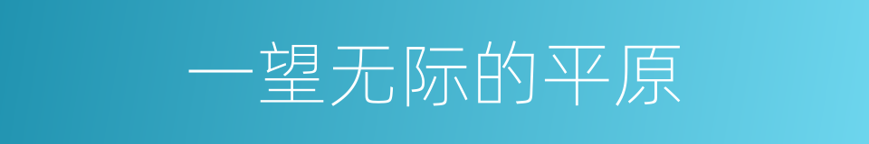 一望无际的平原的同义词