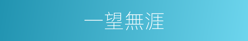 一望無涯的意思