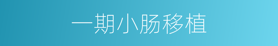 一期小肠移植的同义词