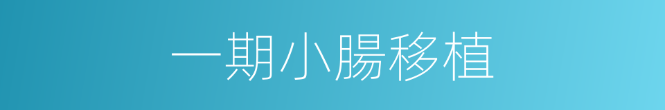 一期小腸移植的同義詞
