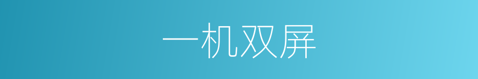 一机双屏的同义词
