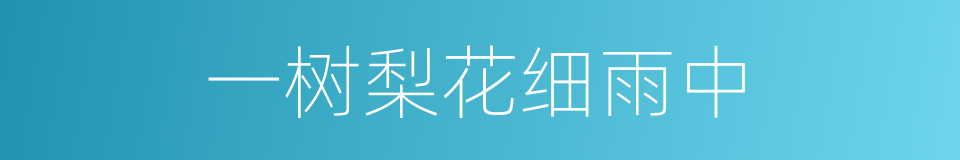 一树梨花细雨中的同义词