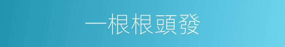 一根根頭發的同義詞