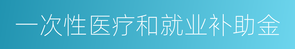 一次性医疗和就业补助金的同义词