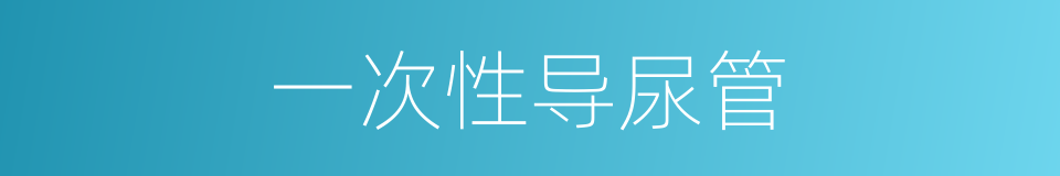 一次性导尿管的同义词