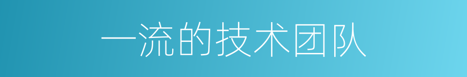 一流的技术团队的同义词