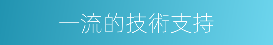一流的技術支持的同義詞