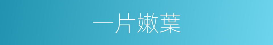 一片嫩葉的同義詞