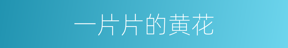 一片片的黄花的同义词