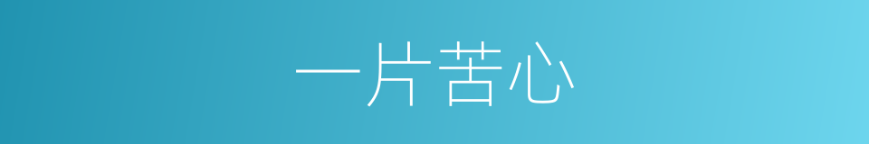 一片苦心的意思