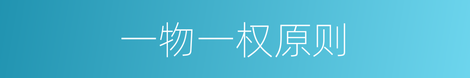 一物一权原则的同义词