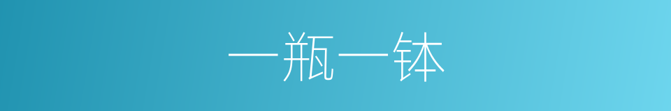 一瓶一钵的意思