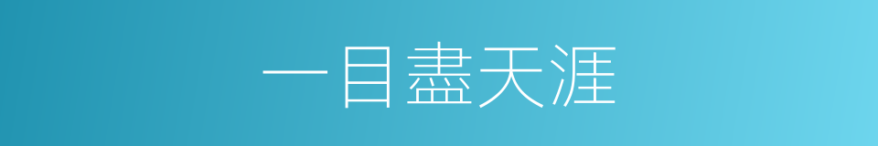 一目盡天涯的意思
