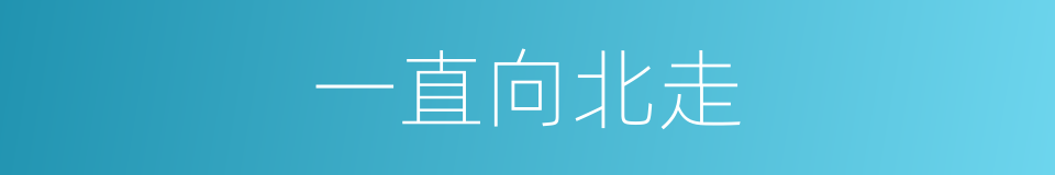 一直向北走的同义词