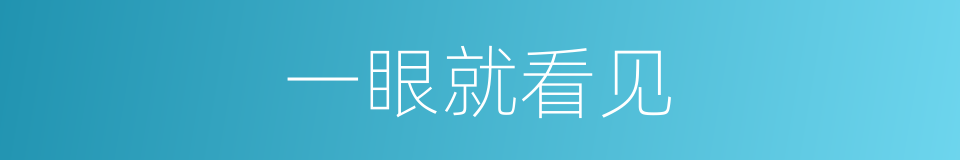 一眼就看见的同义词