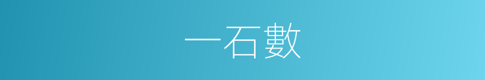 一石數的同義詞