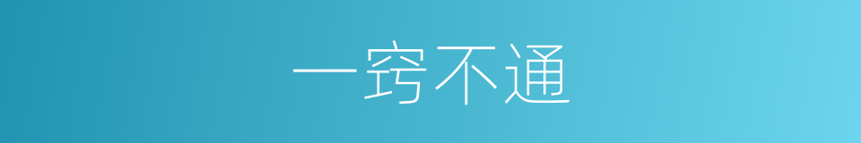 一窍不通的意思