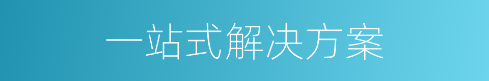 一站式解决方案的同义词