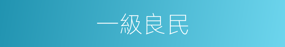 一級良民的同義詞