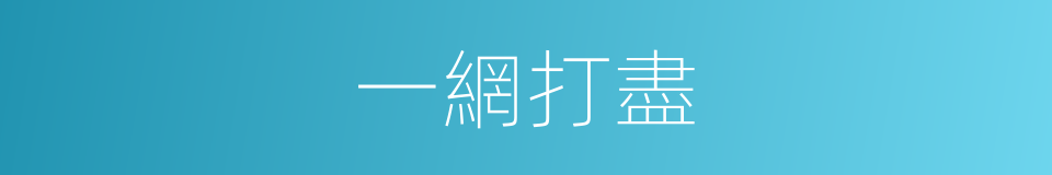 一網打盡的意思