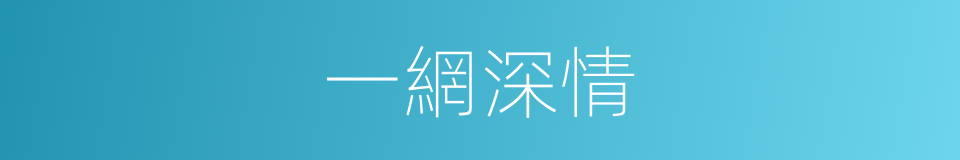 一網深情的同義詞
