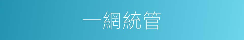 一網統管的同義詞