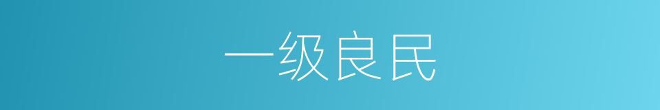 一级良民的同义词