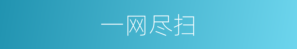 一网尽扫的意思