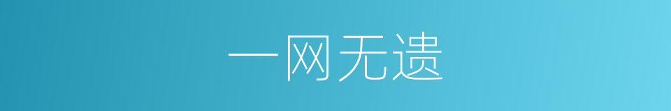 一网无遗的意思