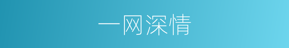 一网深情的同义词