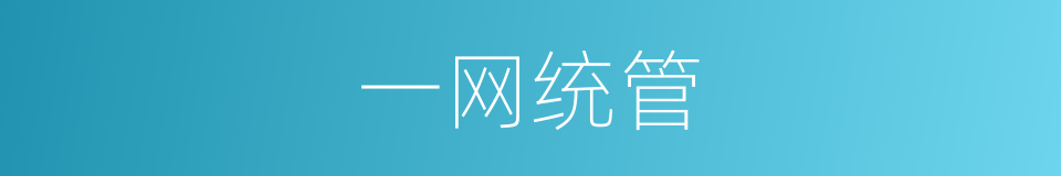 一网统管的同义词