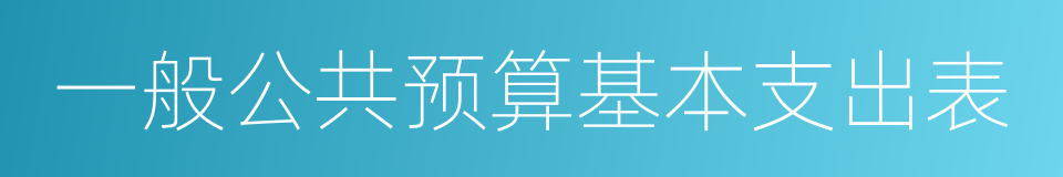 一般公共预算基本支出表的同义词